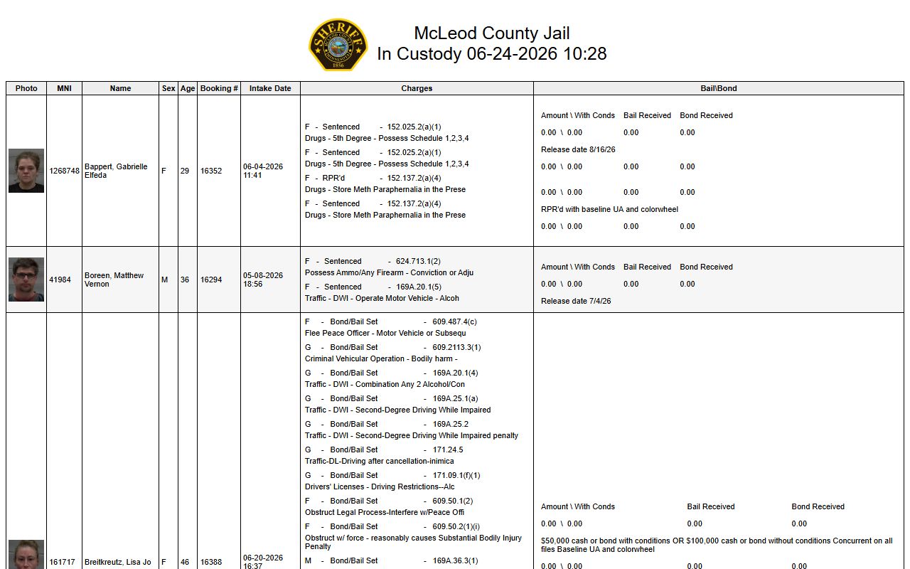 McLeod County arrest records jail roster charge lines